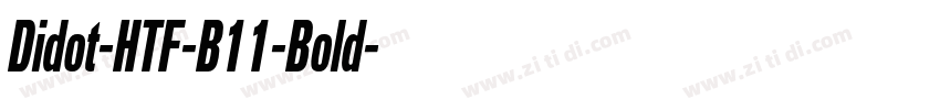 Didot-HTF-B11-Bold字体转换