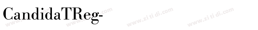 CandidaTReg字体转换