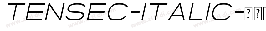 TenseC-Italic字体转换