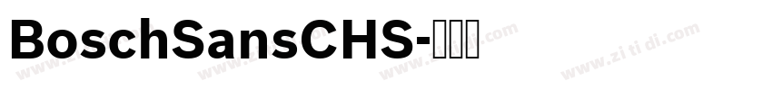 BoschSansCHS字体转换
