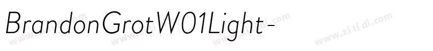 BrandonGrotW01Light字字体转换 BrandonGrotW01Light字字体转换