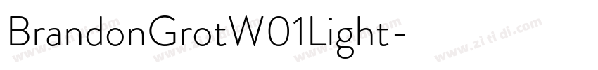 BrandonGrotW01Light字字体转换 BrandonGrotW01Light字字体转换