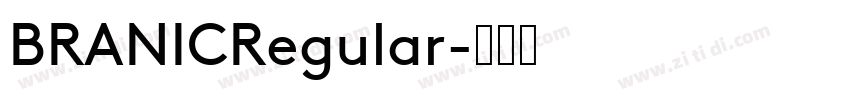 BRANICRegular字体转换