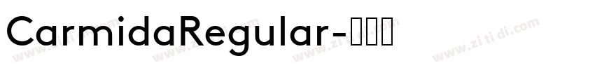 CarmidaRegular字体转换