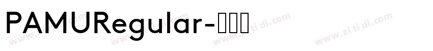 PAMURegular字体转换