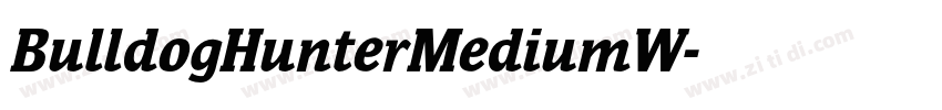 BulldogHunterMediumW字体转换