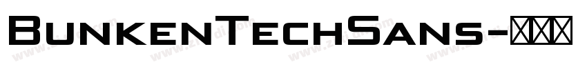 BunkenTechSans字体转换