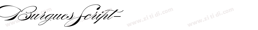 BurguesScript字体转换