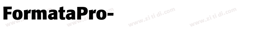 FormataPro字体转换