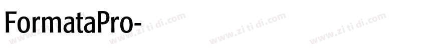 FormataPro字体转换