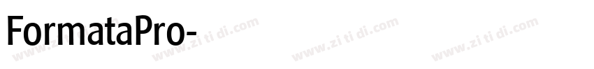 FormataPro字体转换