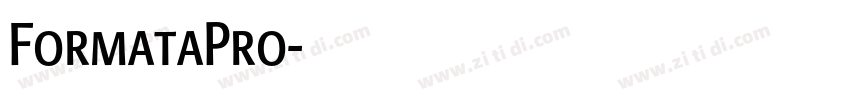 FormataPro字体转换