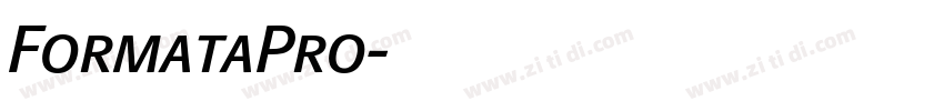 FormataPro字体转换