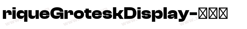 riqueGroteskDisplay字体转换