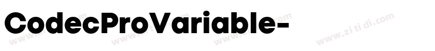 CodecProVariable字体转换