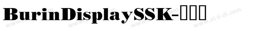 BurinDisplaySSK字体转换