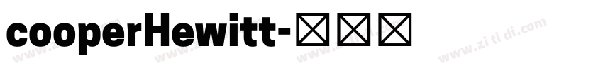 cooperHewitt字体转换