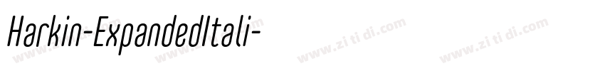 Harkin-ExpandedItali字体转换