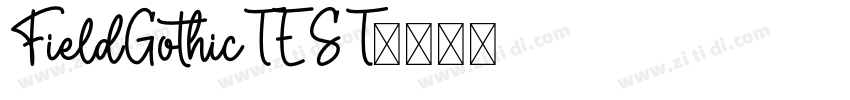 FieldGothicTEST字体转换