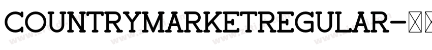 CountryMarketRegular字体转换