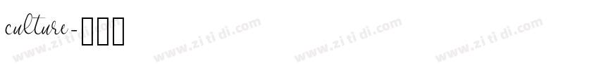 culture字体转换