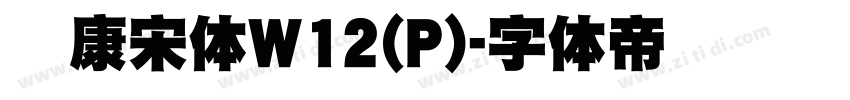 华康宋体W12(P)字体转换
