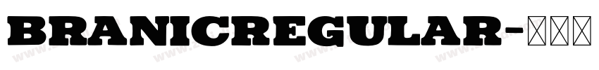 BRANICRegular字体转换