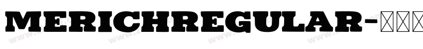MerichRegular字体转换