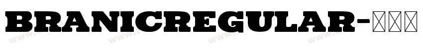 BRANICRegular字体转换