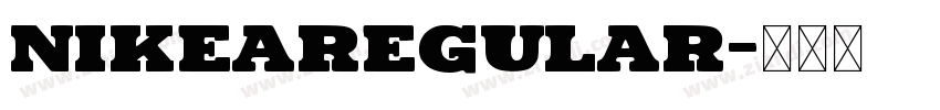 NIKEARegular字体转换