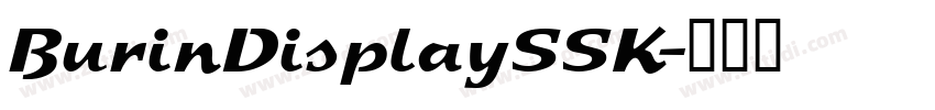 BurinDisplaySSK字体转换
