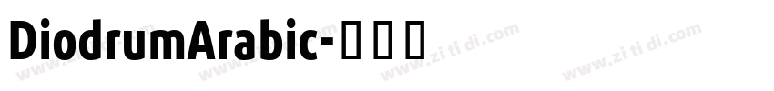 DiodrumArabic字体转换 DiodrumArabic字体转换