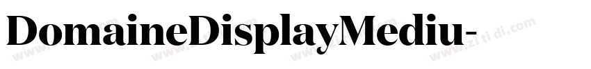 DomaineDisplayMediu字体转换