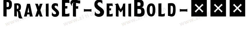 PraxisEF-SemiBold字体转换