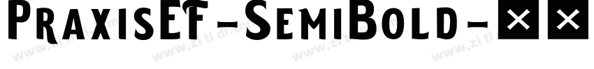 PraxisEF-SemiBold字体转换