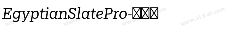 EgyptianSlatePro字体转换