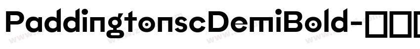 PaddingtonscDemiBold字体转换
