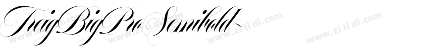 FreigBigProSemibold字体转换 FreigBigProSemibold字体转换