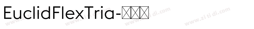 EuclidFlexTria字体转换