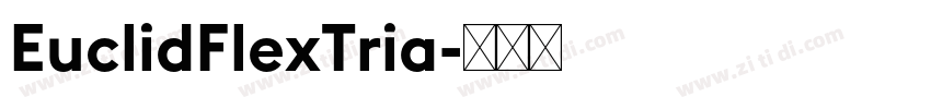 EuclidFlexTria字体转换