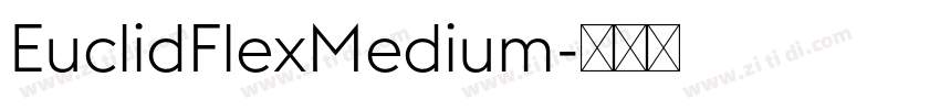 EuclidFlexMedium字体转换