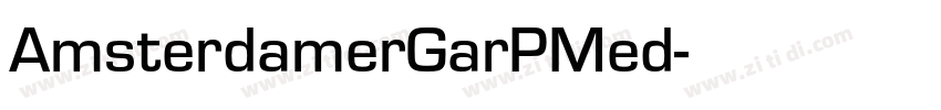 AmsterdamerGarPMed字体转换