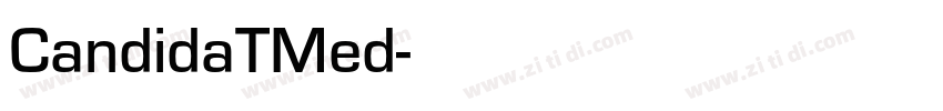 CandidaTMed字体转换