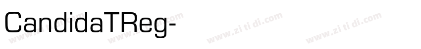 CandidaTReg字体转换