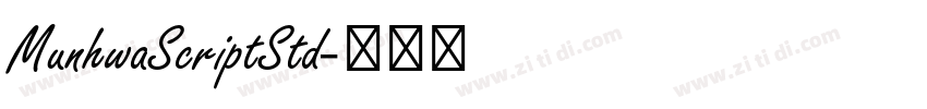 MunhwaScriptStd字体转换