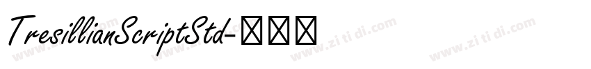 TresillianScriptStd字体转换
