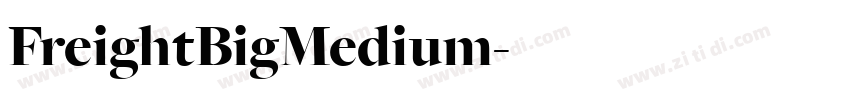 FreightBigMedium字体转换