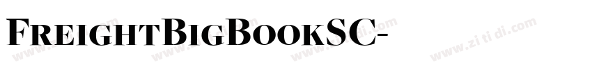 FreightBigBookSC字体转换