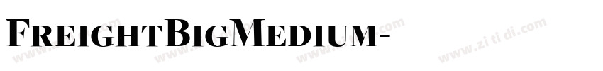 FreightBigMedium字体转换