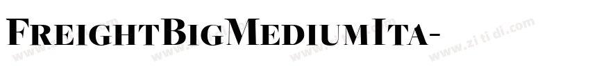 FreightBigMediumIta字体转换